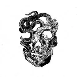 Grinning Death's Head : Blood War